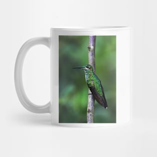 Green-Crowned Brilliant Hummingbird - Costa Rica Mug